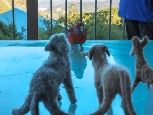 20180520-DSC_0469-Edit