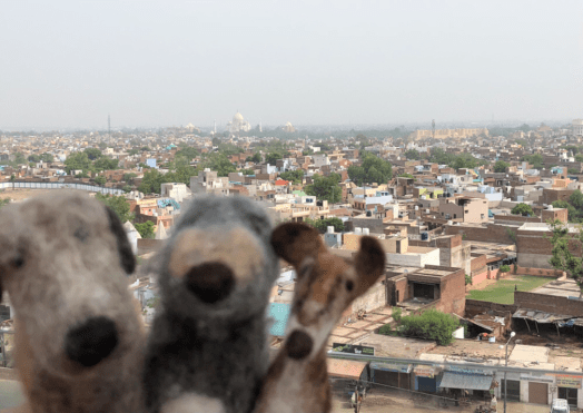 Screen Shot 2019-04-14 at 7.57.52 PM